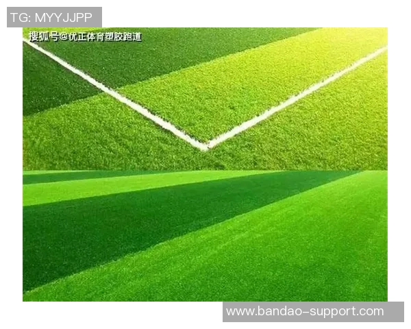 足球场天然草造价分析及影响因素探讨与预算建议 足球场天然草造价分析及影响因素探讨与预算建议